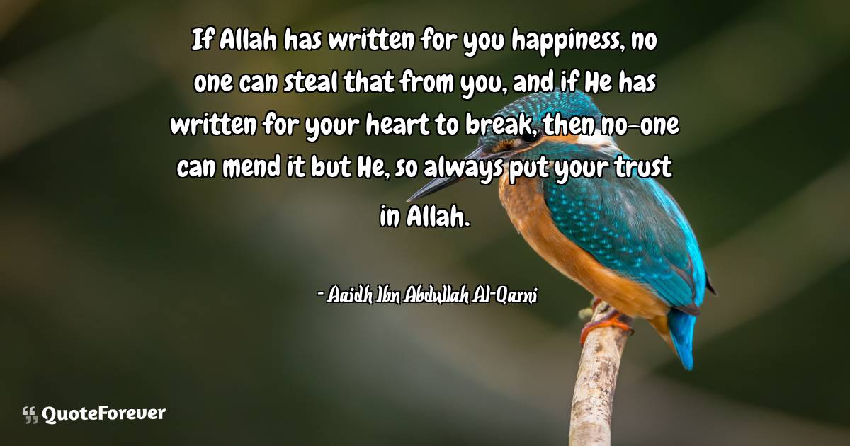 If Allah has written for you happiness, no one can steal that from ...