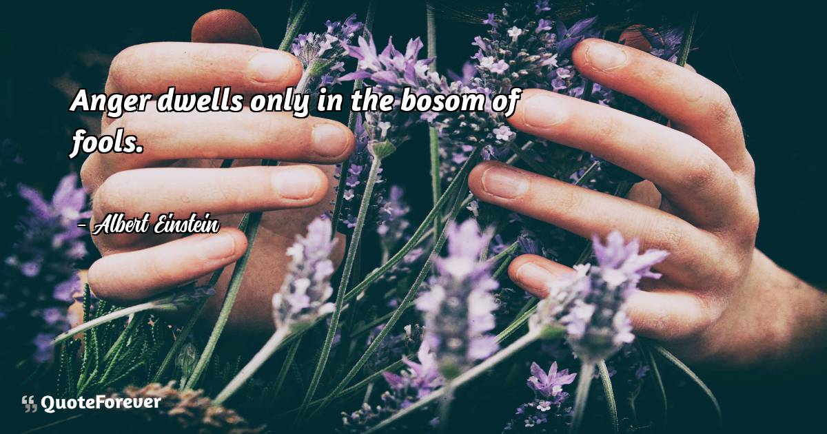 Anger dwells only in the bosom of fools.