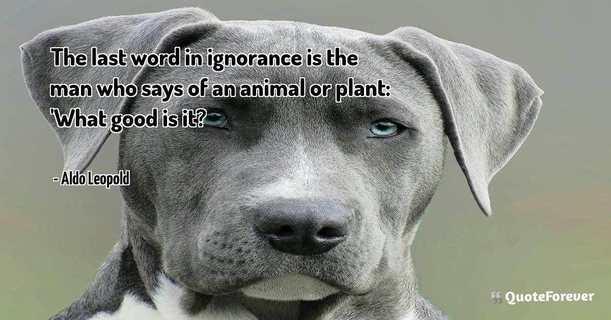 The last word in ignorance is the man who says of an animal or plant: ...