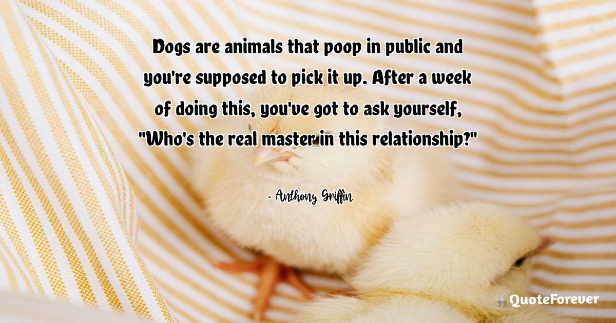 Dogs are animals that poop in public and you're supposed to pick it ...