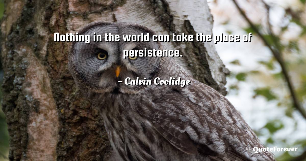 Nothing in the world can take the place of persistence.