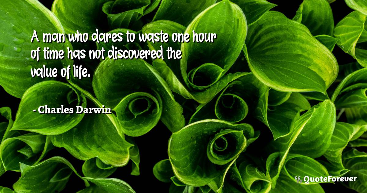 A man who dares to waste one hour of time has not discovered the ...