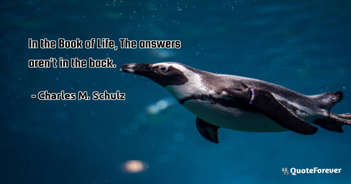 In the Book of Life, The answers aren't in the back.