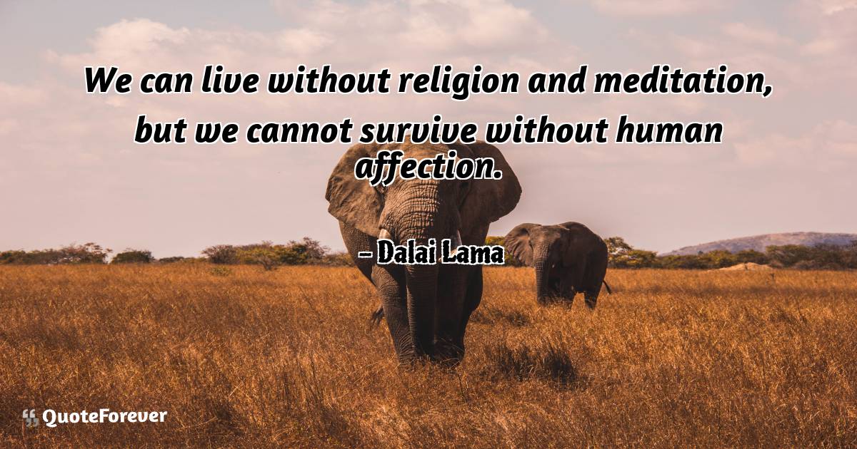 We can live without religion and meditation, but we cannot survive ...