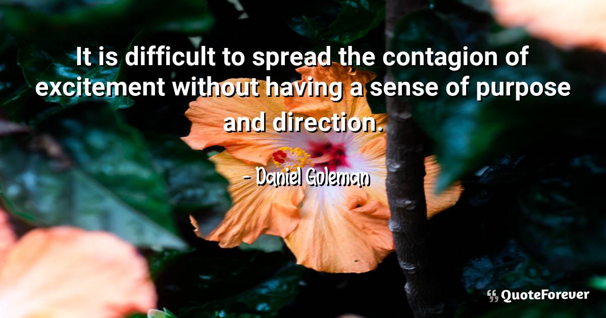 It is difficult to spread the contagion of excitement without having ...