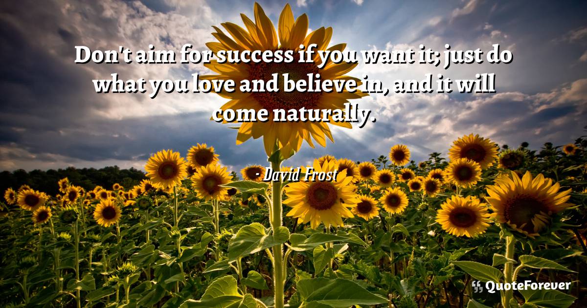 Don't aim for success if you want it; just do what you love and ...