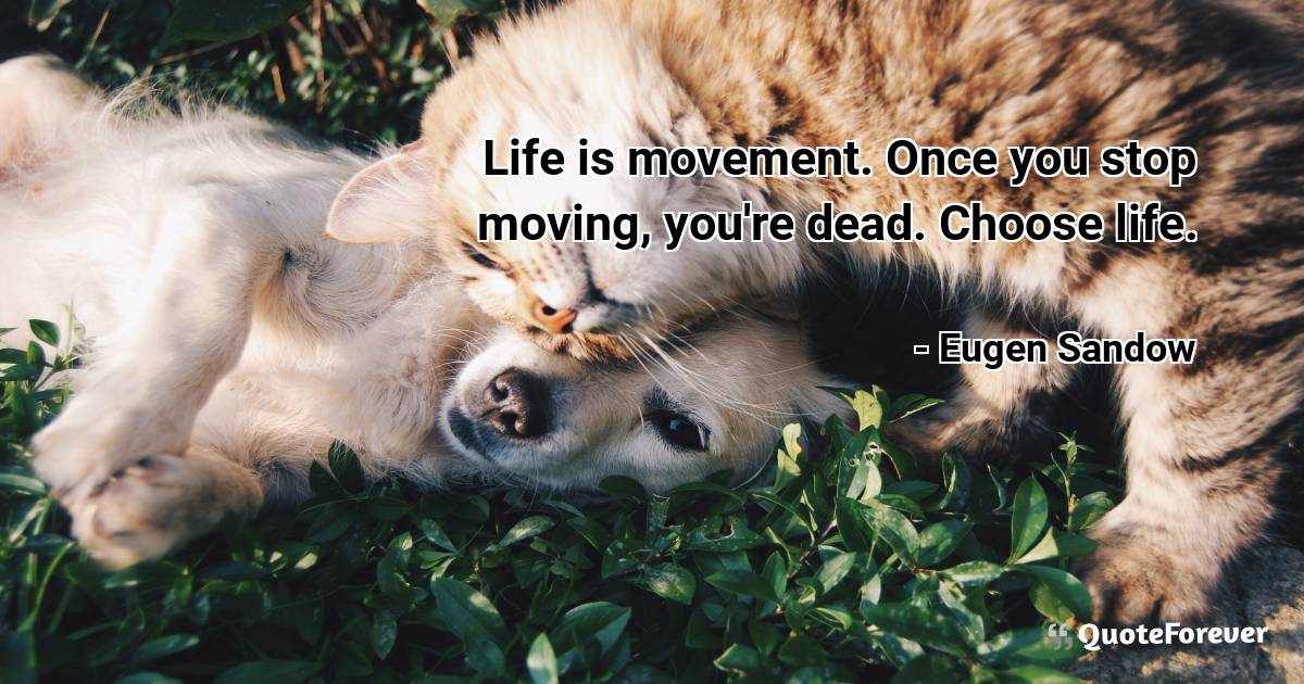 Life is movement. Once you stop moving, you're dead. Choose life.