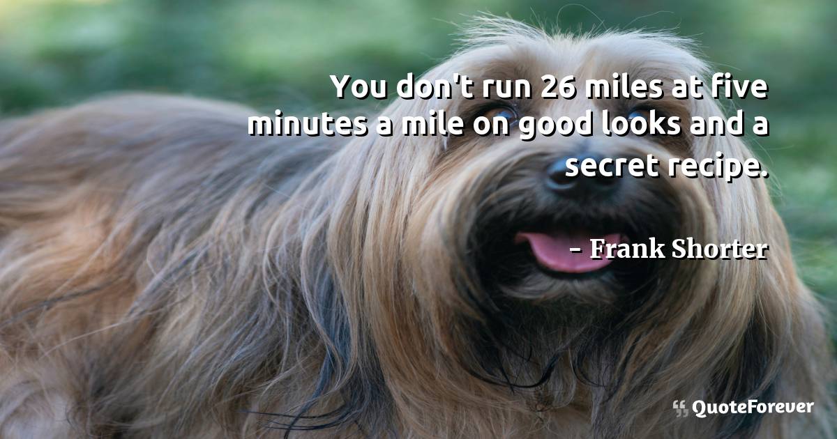 You don't run 26 miles at five minutes a mile on good looks and a ...
