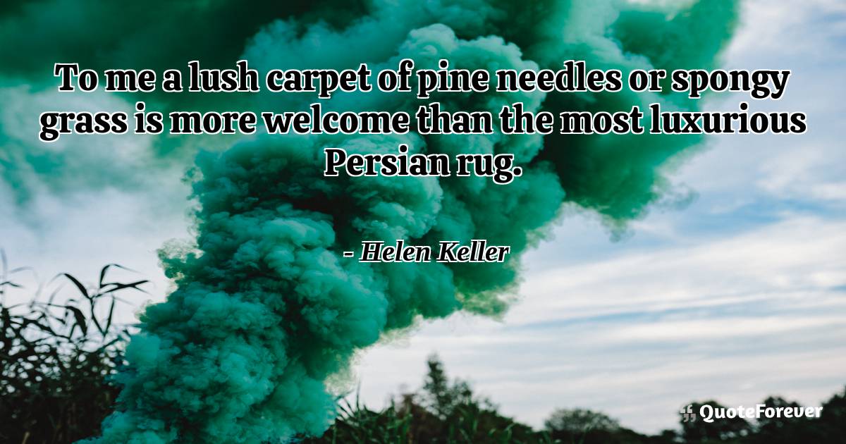 To me a lush carpet of pine needles or spongy grass is more welcome ...