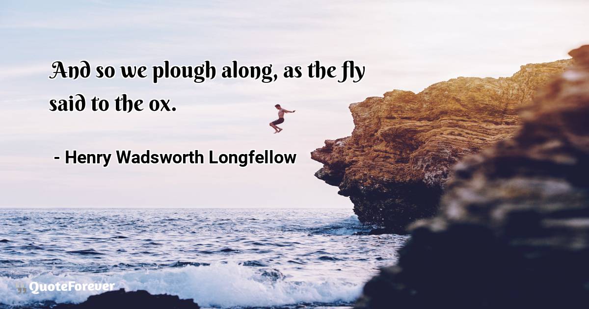 And so we plough along, as the fly said to the ox.