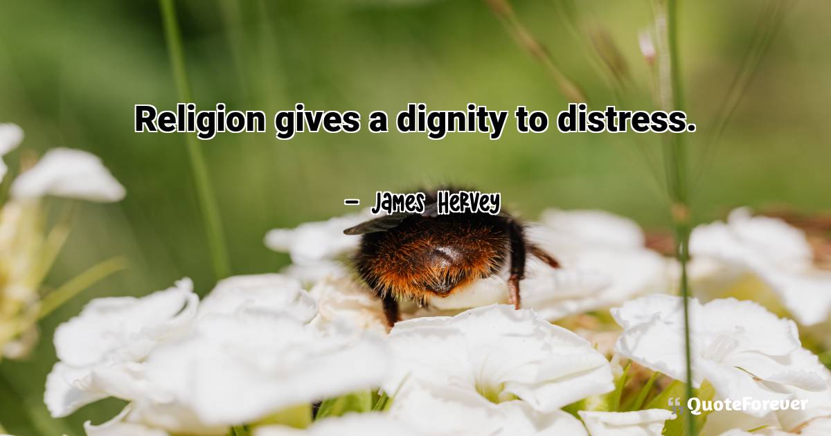 Religion gives a dignity to distress.