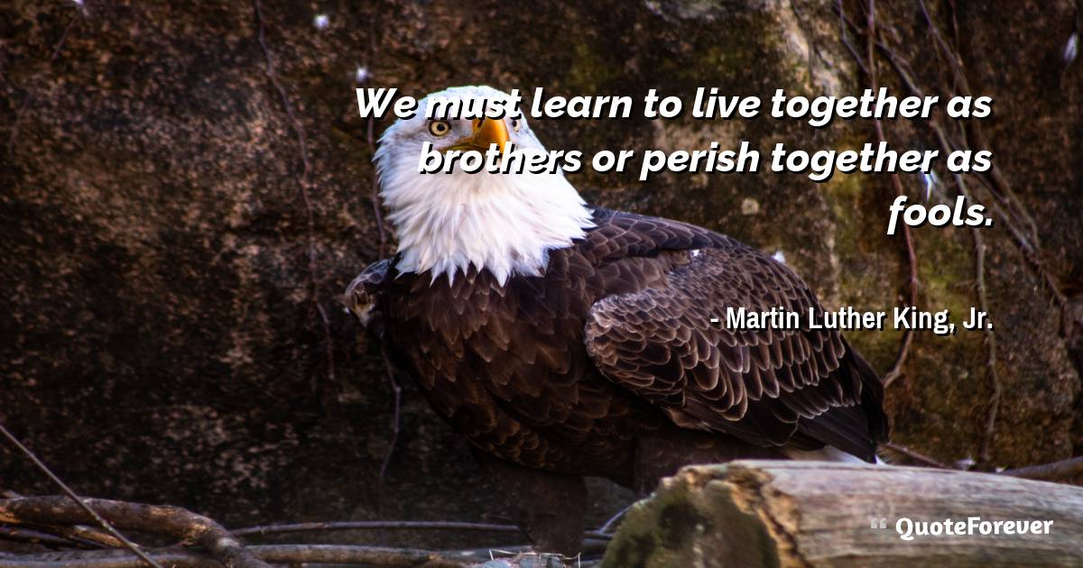 We must learn to live together as brothers or perish together as ...