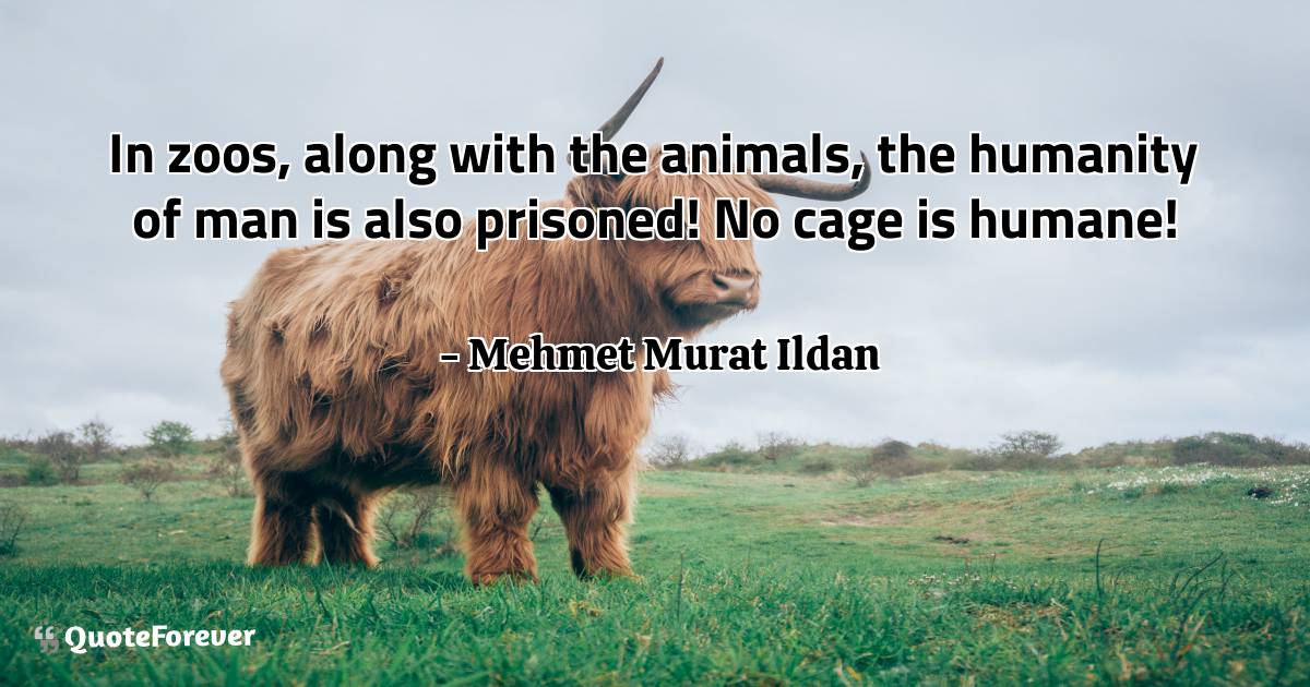In zoos, along with the animals, the humanity of man is also ...
