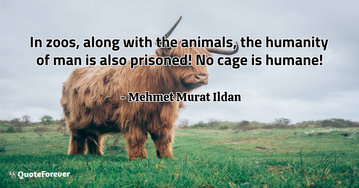 In zoos, along with the animals, the humanity of man is also ...