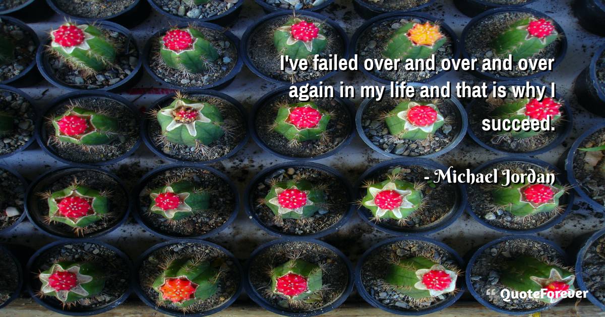 I've failed over and over and over again in my life and that is why I ...