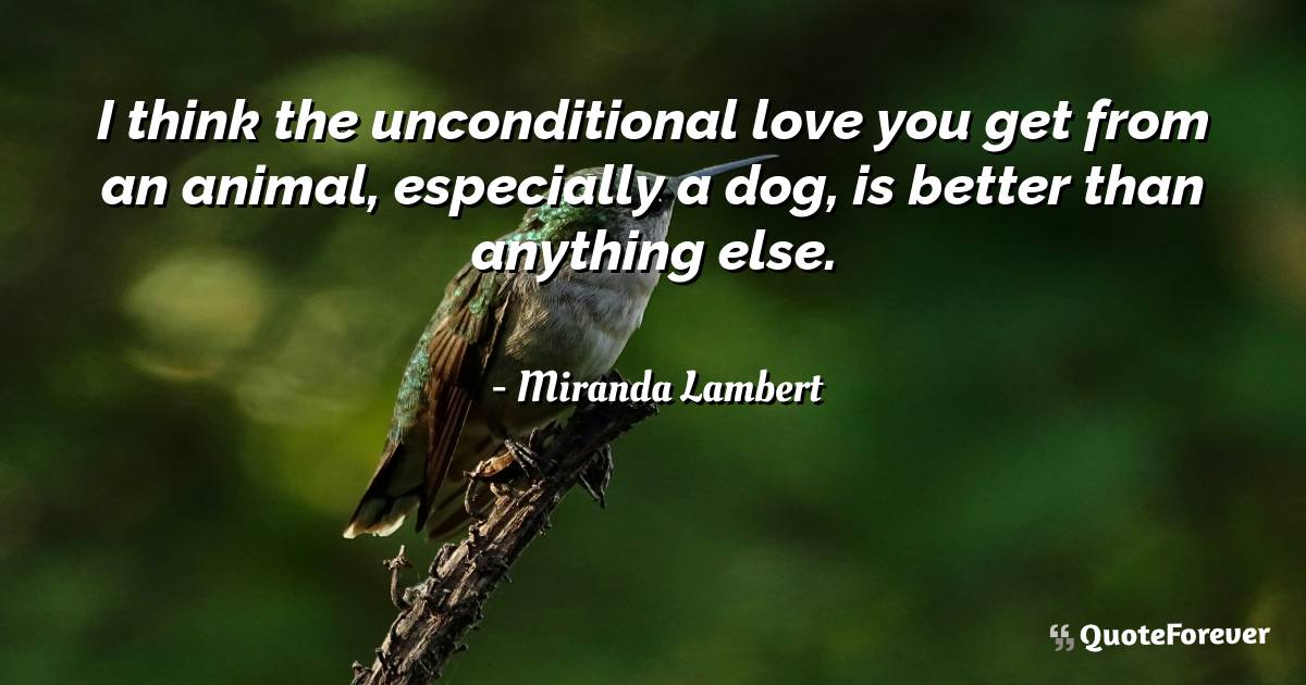 I think the unconditional love you get from an animal, especially a ...
