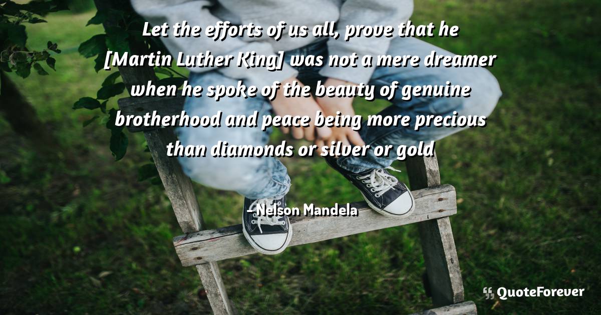 Let the efforts of us all, prove that he [Martin Luther King] was not ...