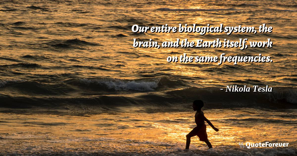 Our entire biological system, the brain, and the Earth itself, work ...