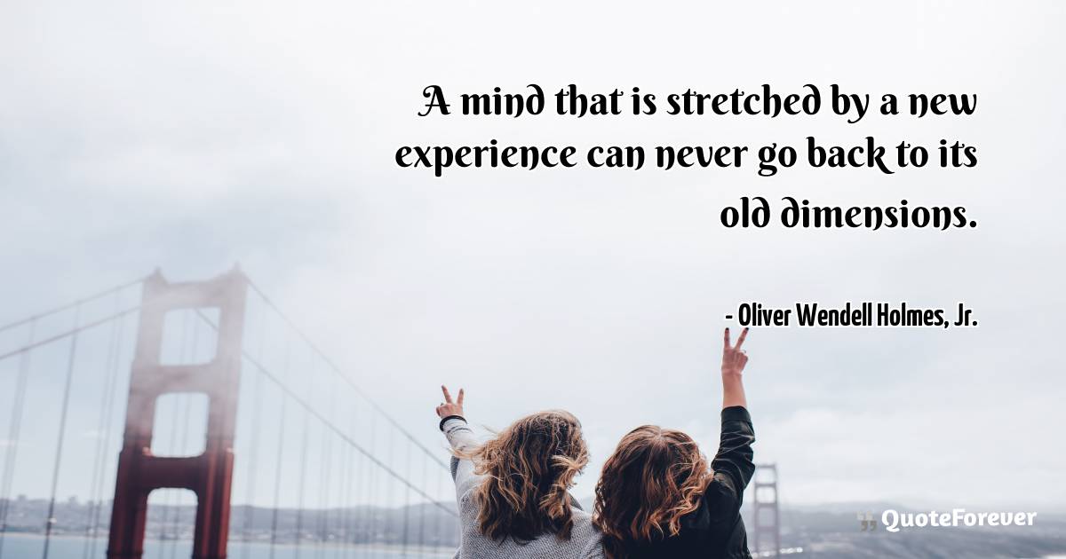 A mind that is stretched by a new experience can never go back to its ...