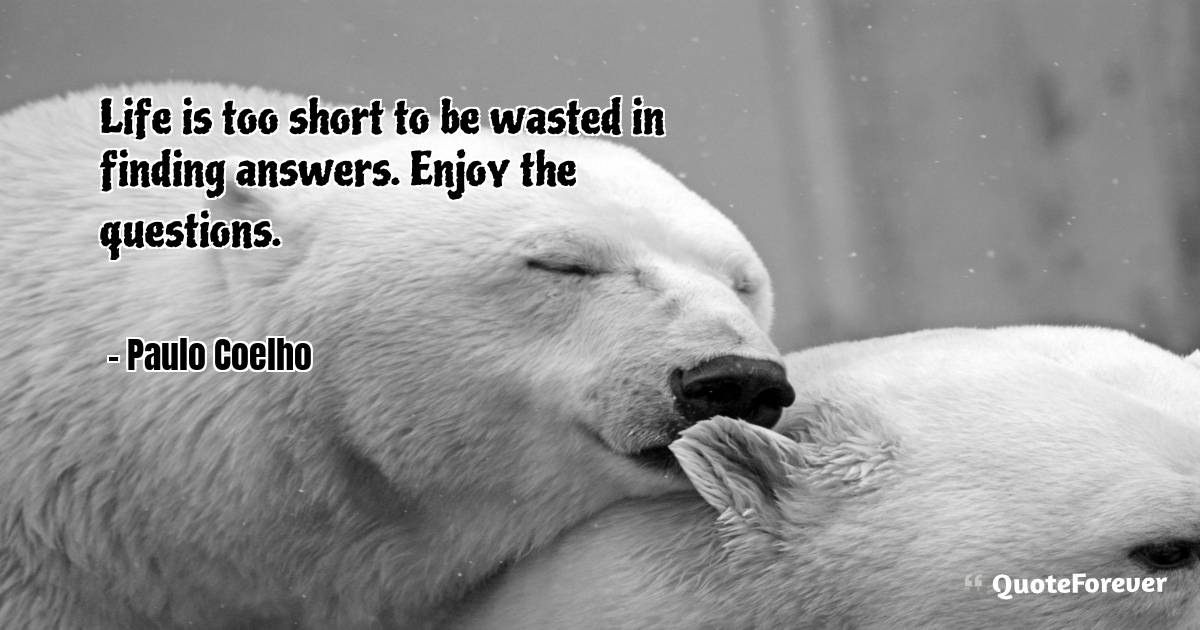 Life is too short to be wasted in finding answers. Enjoy the ...