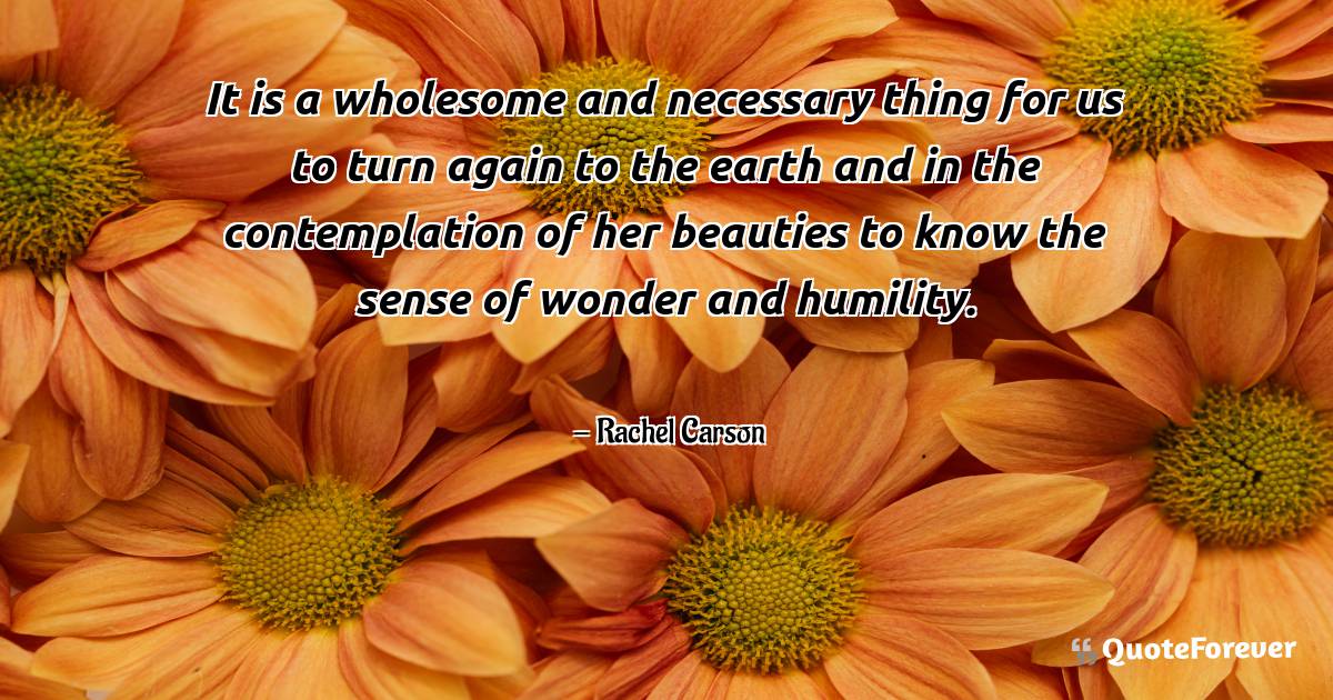 It is a wholesome and necessary thing for us to turn again to the ...