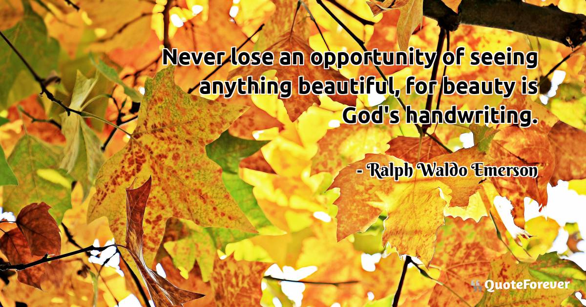 Never lose an opportunity of seeing anything beautiful, for beauty is ...