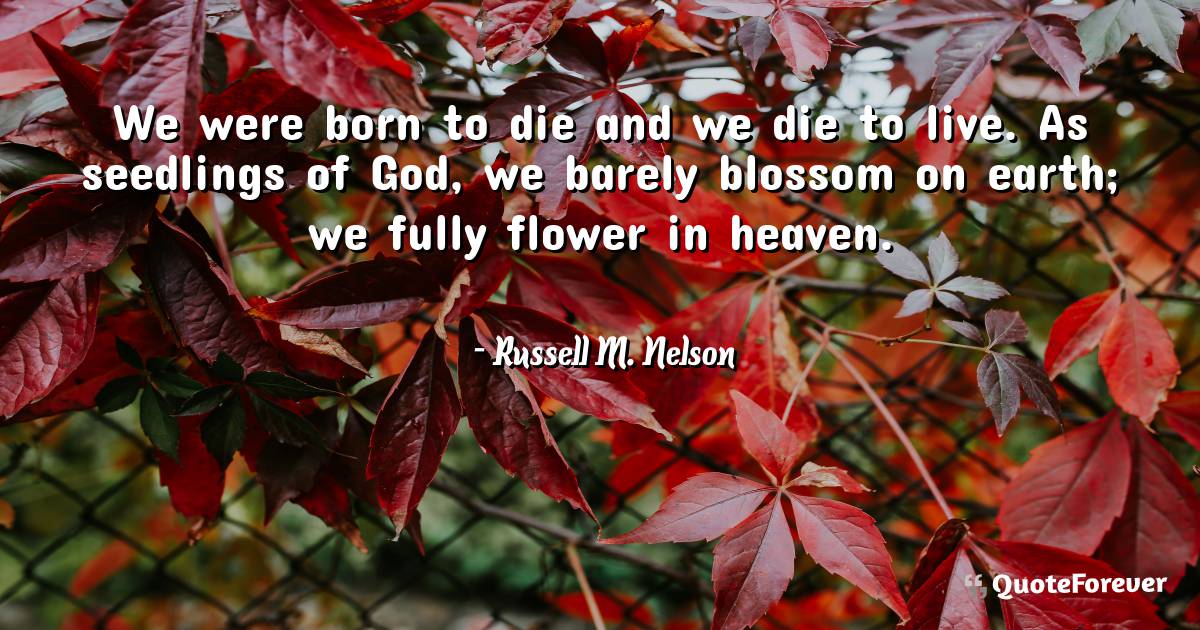 We were born to die and we die to live. As seedlings of God, we ...