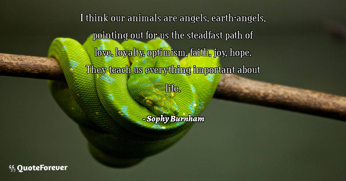 I think our animals are angels, earth-angels, pointing out for us the ...