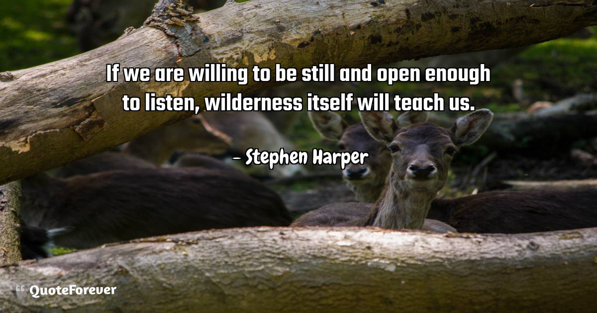 If we are willing to be still and open enough to listen, wilderness ...