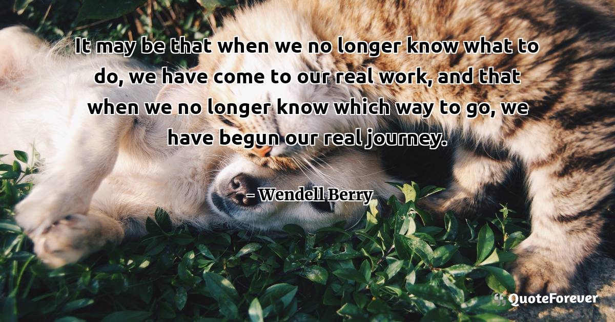 It may be that when we no longer know what to do, we have come to our ...