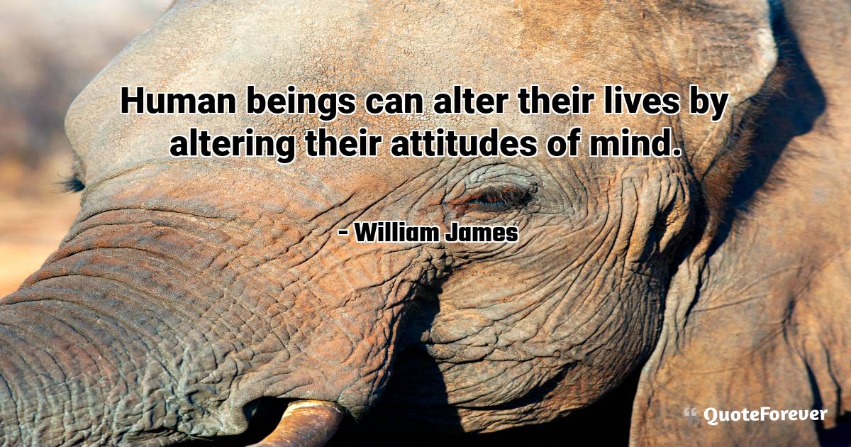 Human beings can alter their lives by altering their attitudes of ...